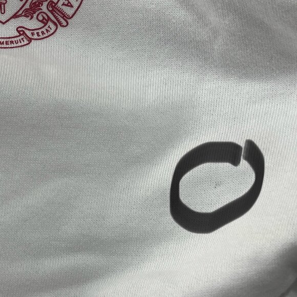 NWT Camp David Men's University of Southern California Trojans Hoodie White L - Picture 6 of 6